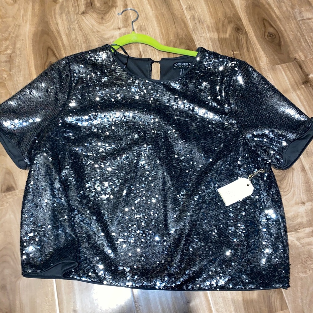 Plus Size Sparkly Silver Top